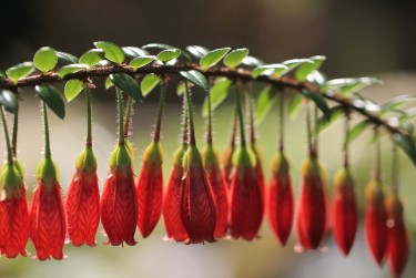 珠海斗门区5私人快速借钱网，轻松解决资金难题