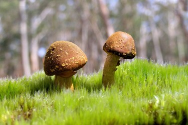 珠海斗门区5私人老板放款：轻松融资的秘密通道